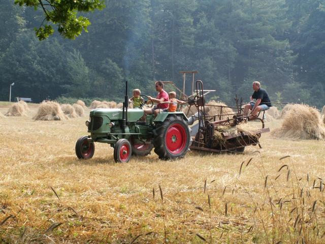 harvest-1-1436504.jpg